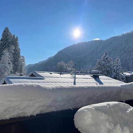 2-6 pax Apartment in Kitzbühel Alps Exterior foto