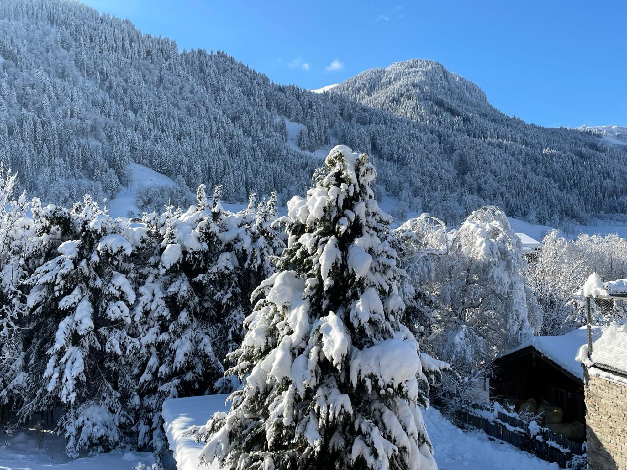 2-6 pax Apartment in Kitzbühel Alps Exterior foto